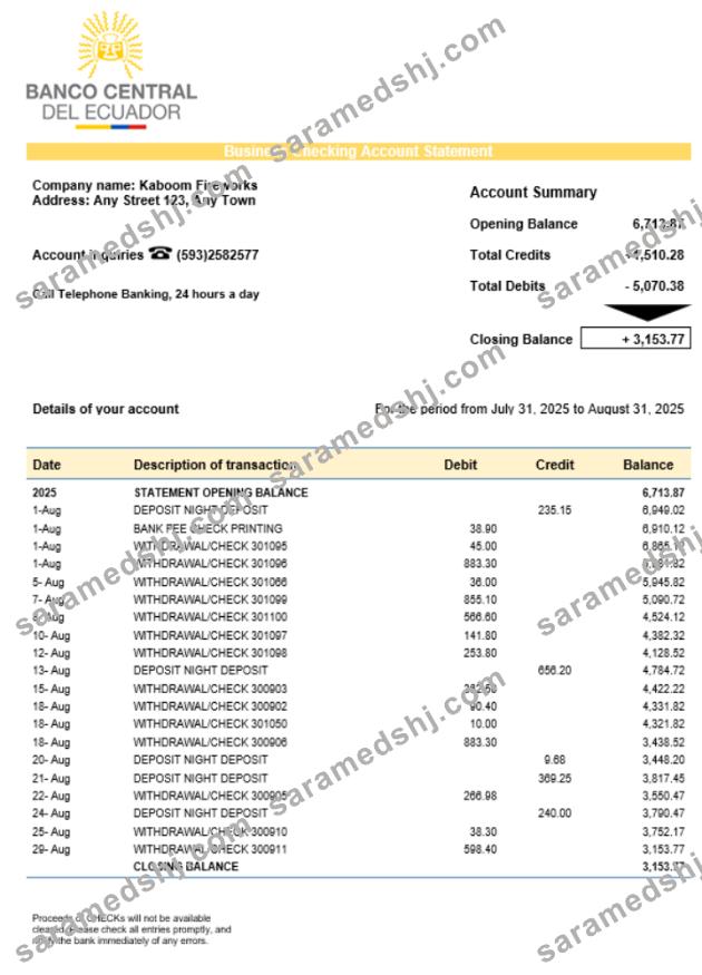 Central Bank of Ecuadorian organization checking account statement Word and PDF format